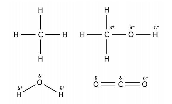 Элементы жизни. Вода