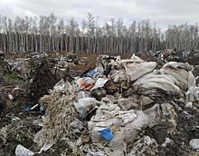 ОНФ заявил о мусорном хаосе и бездействии властей в Красноармейском районе