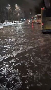 Глава Ижевска рассказал, когда начнут ремонт улицы Голублева, которая по весне превращается в реку