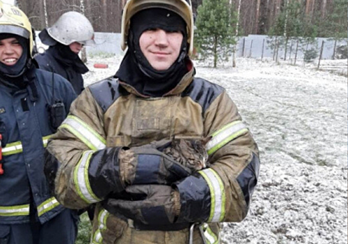 В Александрове пожарные спасли кота - погорельца