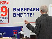 Политологи отметили отсутствие реальных нарушений на выборах в Москве