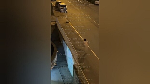 Житель Геленджика подарил соседям пикантное шоу