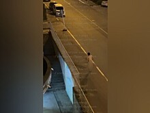 Житель Геленджика подарил соседям пикантное шоу