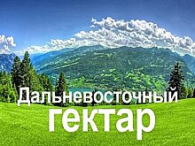 "Гектарщики" в Хабаровском крае могут воспользоваться пакетом мер поддержки