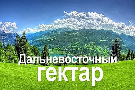 "Гектарщики" в Хабаровском крае могут воспользоваться пакетом мер поддержки