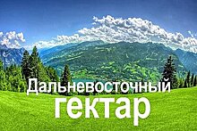 "Гектарщики" в Хабаровском крае могут воспользоваться пакетом мер поддержки