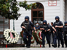 Вена приходит в себя после теракта