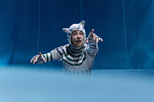 Премьеру спектакля «Кит плывёт на север» из Петербурга показали в Москве