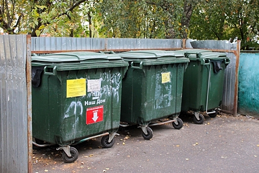 За выброс мусора в контейнер у дома может грозить штраф: разъяснения юриста