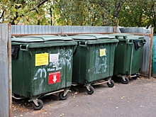 За выброс мусора в контейнер у дома может грозить штраф: разъяснения юриста