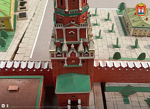 Пенсионер из Светлого из картона и цветной бумаги создал макет московского Кремля