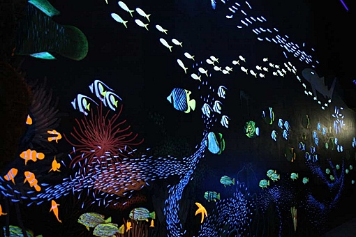 Заглавное изображение Океанариум Sea World