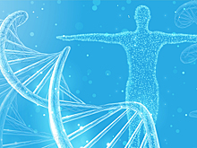 Ученые пересмотрели вклад генетики в долголетие