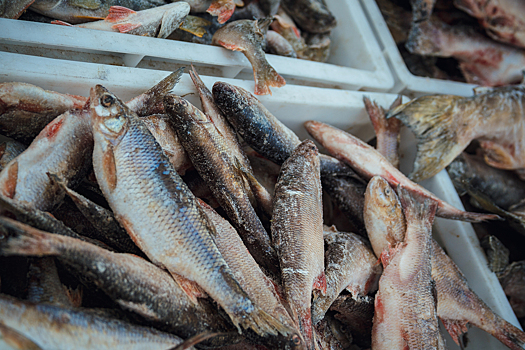 Цены на рыбу подскочили в российских магазинах