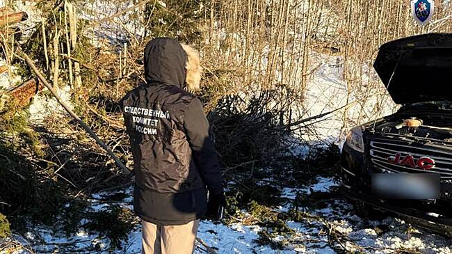 Суд вынес приговор по делу об убившем россиянина дереве