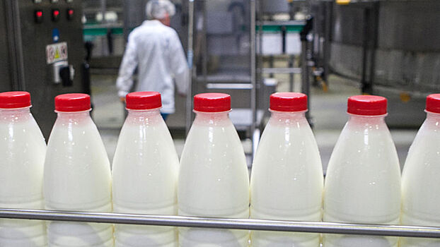 В России рекордно подорожало производство молока