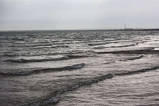 Казахстанский художник Сабур Мамбеев скончался в Алматинской области