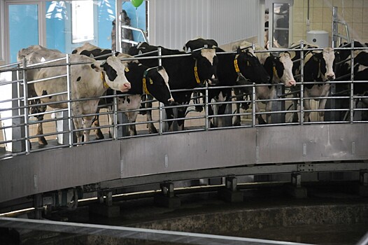 Сельское хозяйство Воронежской области