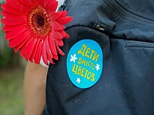 "Цветы ради жизни": родители отказываются от больших букетов на 1 сентября и переводят деньги на благотворительность