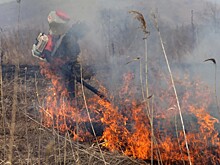 Приморцев предупредили о высокой пожароопасности