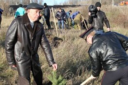 В Гусь-Хрустальном районе высадили 13 тыс. сеянцев сосны