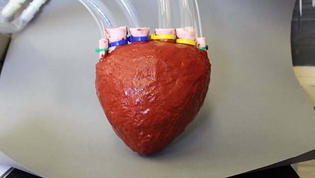 Медики создали  искусственное сердце из эластичного "поролона"