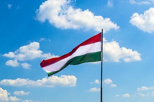 Венгерского посла отзывают из Нидерландов