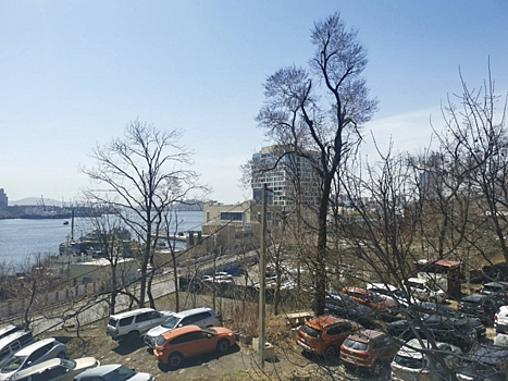 Владивосток отменит плату за парковку в новогодние праздники