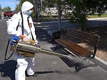 Города Приамурья благоустроят по нацпроекту на 244 млн рублей