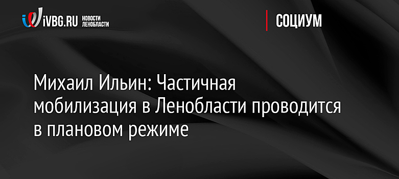 Михаил Ильин: Частичная мобилизация в Ленобласти проводится в плановом режиме