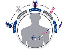 Агентство DARPA включилось в гонку по разработке вакцины от коронавируса