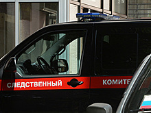 Признавшегося в убийстве волгоградского школьника отпустили домой