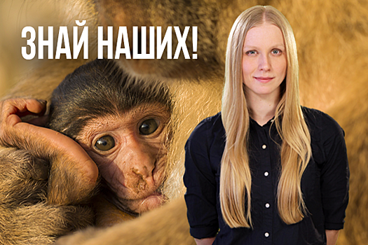 Знай наших! О матерях и детенышах