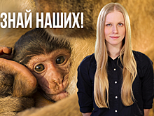 Знай наших! О матерях и детенышах