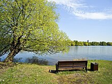 В Подмосковье проверят пляжи перед купальным сезоном