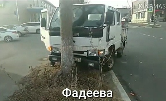 В результате столкновения с легковушкой грузовик «отлетел» в дерево во Владивостоке