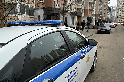 В Санкт-Петербурге полиция задержала молодого человека, подозреваемого в осквернении Знамени Победы