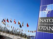 В НАТО допустили применение пятой статьи договора в случае кибератаки