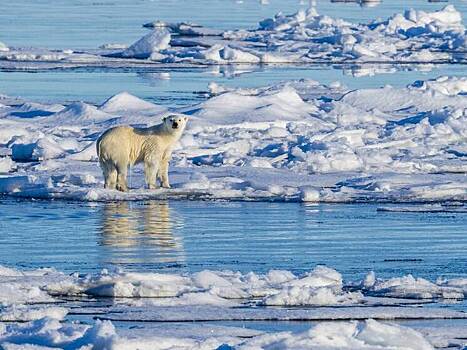 МИД Дании: война за Гренландию станет концом НАТО
