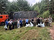 Около 50 кубометров мусора вывезли с территории Городецкого лесничества