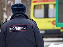 После массовых драк в московских ТЦ полиция задержала нескольких подростков-анимешников
