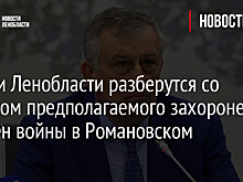 Власти Ленобласти разберутся со статусом предполагаемого захоронения времен войны в Романовском