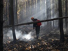 Четвертый класс пожарной опасности объявлен на территории Клинского района