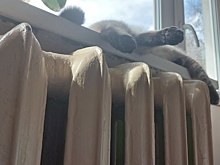 В Ижевске изменится минимально допустимая температура в квартирах