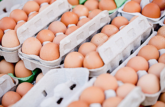 Почему дорожают куриные яйца?