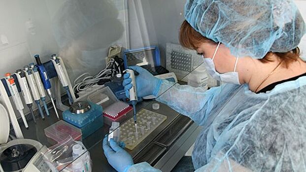 В Новгородской области рассказали о ситуации с распространением COVID-19