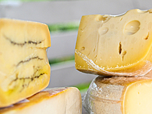 Эксперт объяснил выявление рекордного количества фальсификата молочной продукции