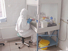Новые случаи COVID-19 в Калининградской области: статистика и подробности
