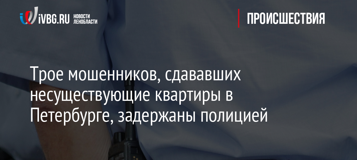 Трое мошенников, сдававших несуществующие квартиры в Петербурге, задержаны полицией