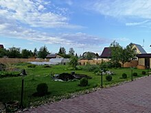 В Свердловской области спрос на покупку земли вырос на 4%